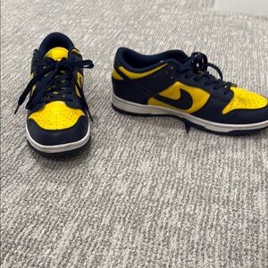 Nike Low Michigan Dunks